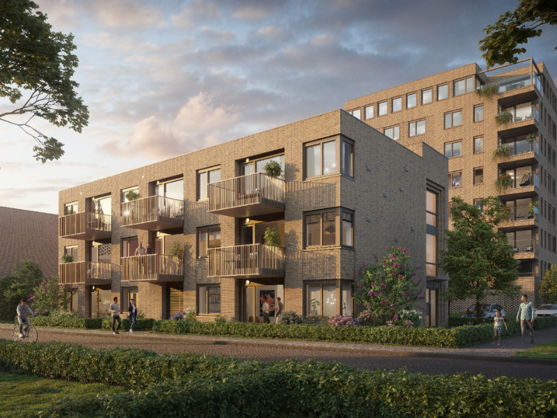 Project Koog aan de Zaan afbeelding